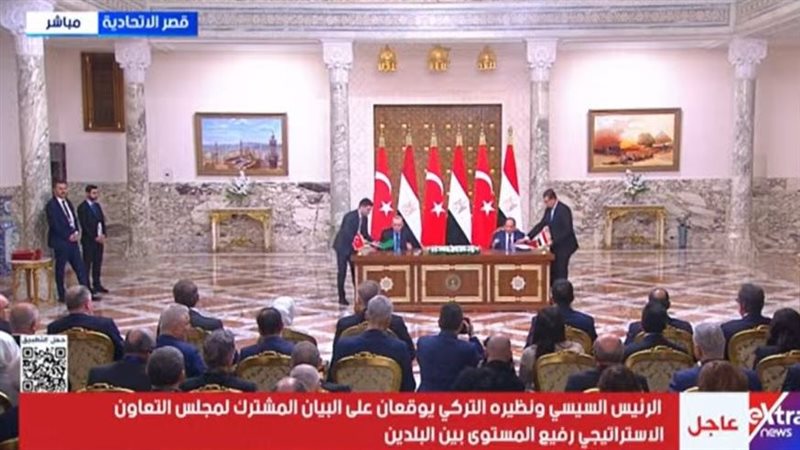 الرئيس السيسي وأردوغان