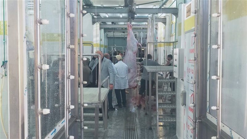 صورة ارشيفية 