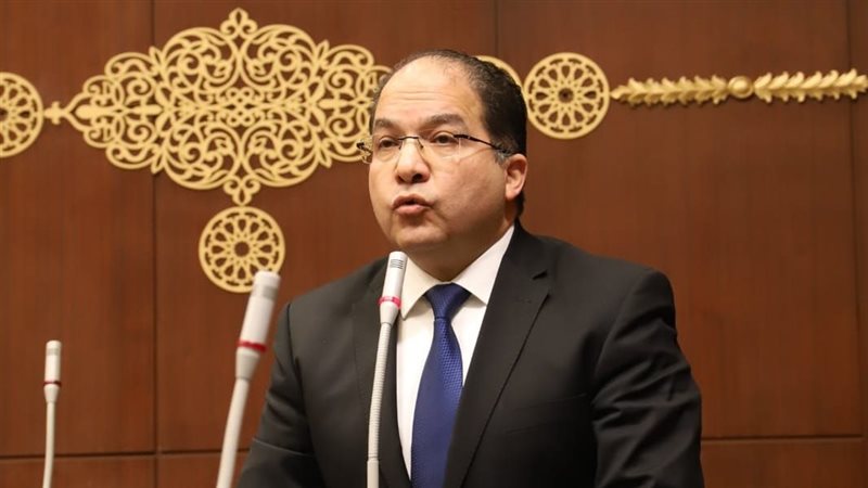 النائب عادل اللمعي