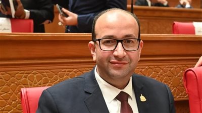 عمرو عويضة: التقارب المصري التركي يعكس رؤية سياسية ناضجة تدعم الاستقرار
