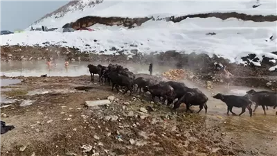 من الماء الساخن إلى الثلج الأبيض.. ينابيع بوداكلي تبهر الزوار في الشتاء 