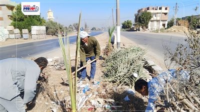 حملات للنظافة العامة ورفع الإشغالات وتمهيد الطرق بمدينة سنورس وعدد من القرى