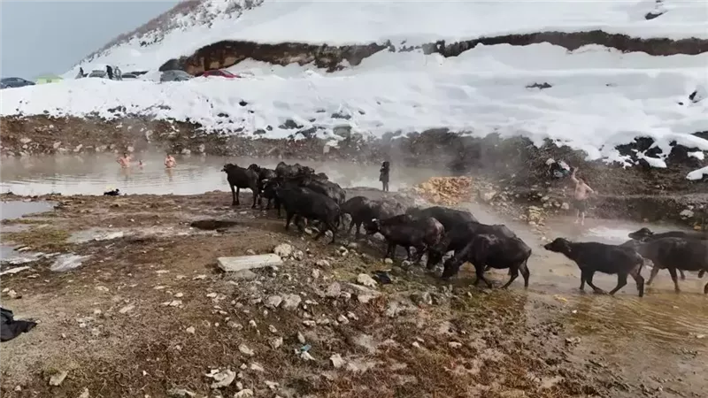 صورة موضوعية