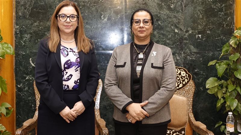 المستشارة أمل عمار
