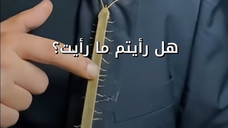 بروش من الحشرات 