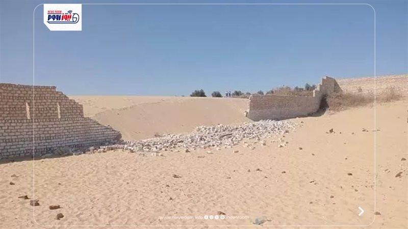 صورة من الواقعة بالمنيا