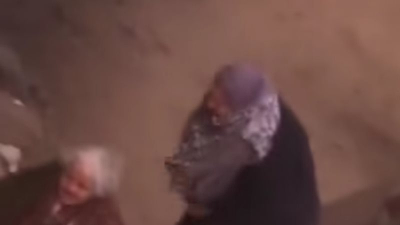 الفيديو