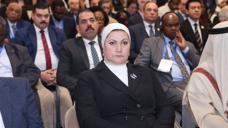 رئيس المجلس القومي