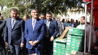 الزراعة: مصر الأولى عالميًا في إنتاج التمور بإنتاج سنوي يصل إلى 2 مليون طن