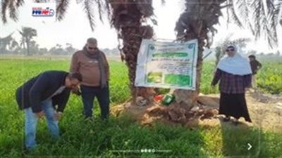 محافظ الفيوم يتابع جهود دعم المزارعين وتعزيز التنمية الزراعية