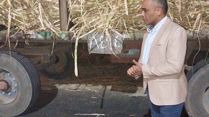 مقطورات القصب بقنا