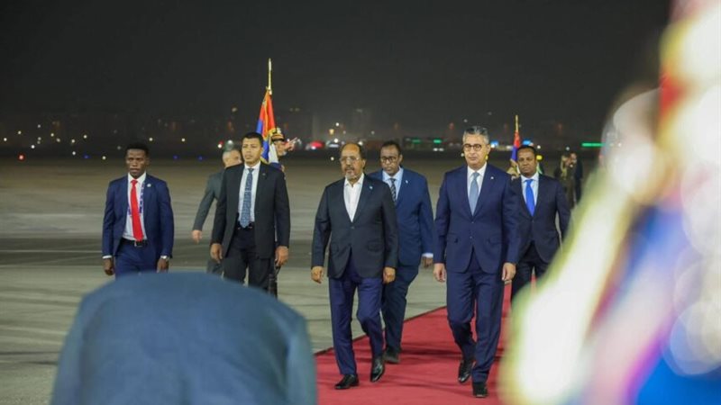 رئيس الجمهورية الصومالية