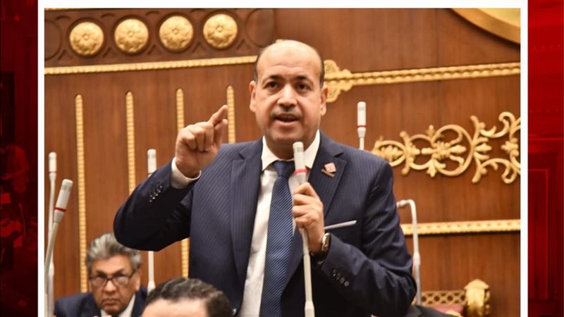 النائب أحمد سيد أحمد