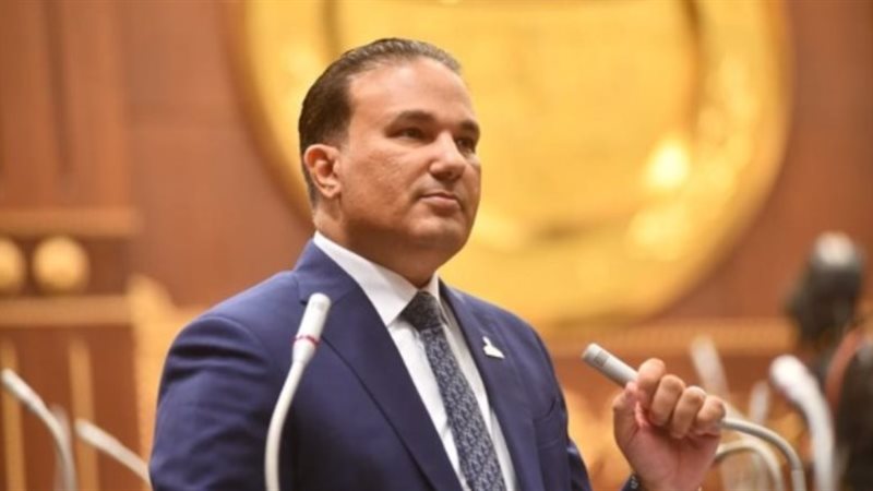 النائب أمير أحمد