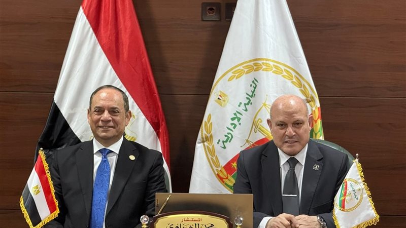 المستشار محمد الشناوي