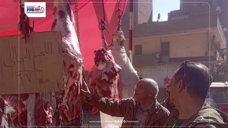 حملات تفتيشية بالمنيا