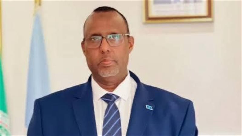 سفير الصومال بالقاهرة
