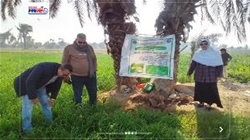 دعم المزارعين - أرشيفية