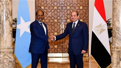 أحزاب تُشيد بالقمة المصرية الصومالية وتؤكد: تُعزز الاستقرار في القرن الإفريقي