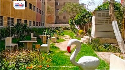 تعليم الفيوم يحصد المركز الخامس في مسابقة المدرسة الخضراء على مستوى الجمهورية