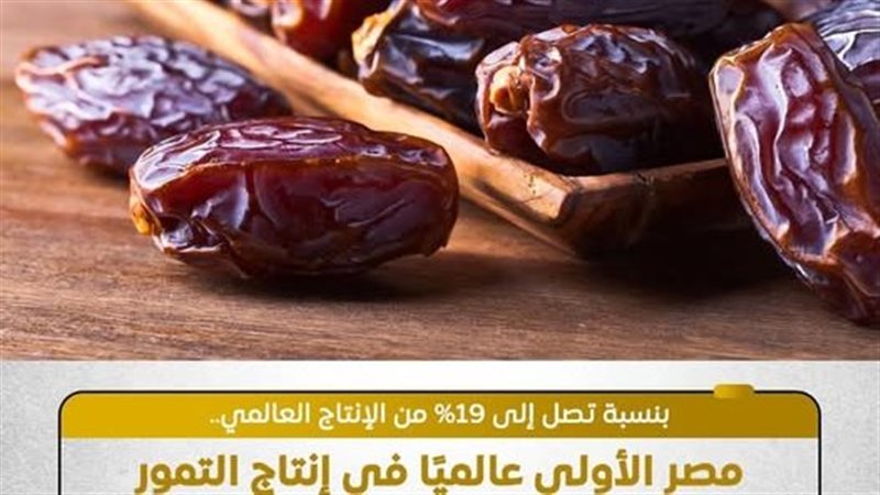 إنتاج التمور