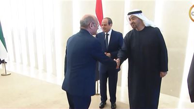 خبير: تحركات مصر الإقليمية تعكس دبلوماسية سلام ورفضًا لفرض الأمر الواقع بالقوة