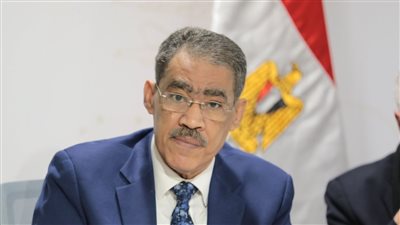 ضياء رشوان : لا توجد مؤسسة في مصر تعمل بمعزل عن غيرها