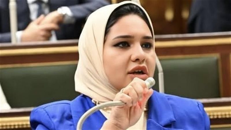 النائبة راوية مختار