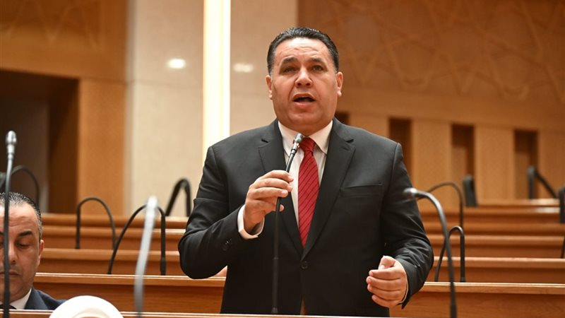 عماد الغنيمي