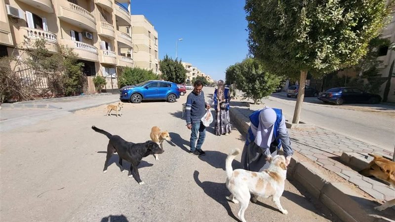 جانب من الحملات