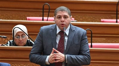 أحمد جبيلي: تحركات السيسي الإقليمية تعكس دور مصر المحوري في حماية الاستقرار