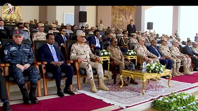 وزير الدفاع والرئيس الصومالى يشهدان إصطفاف القوات المصرية 