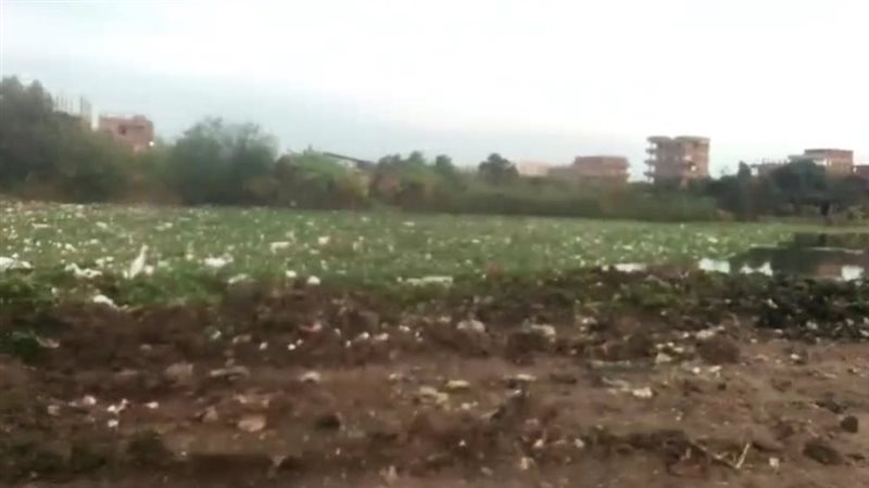 جانب من تراكم القمامة