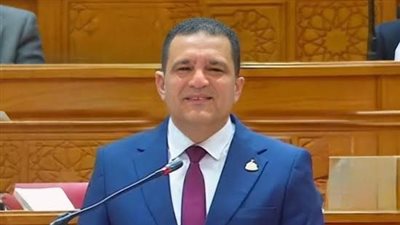 النائب أمير الجزار يطالب بعودة البطاقات التموينية الموقوفة وإضافة المواليد