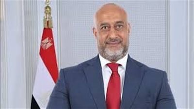 نائب بالشيوخ يطالب بحوافز لجذب استثمارات «الفينتك» والتجارة الإلكترونية