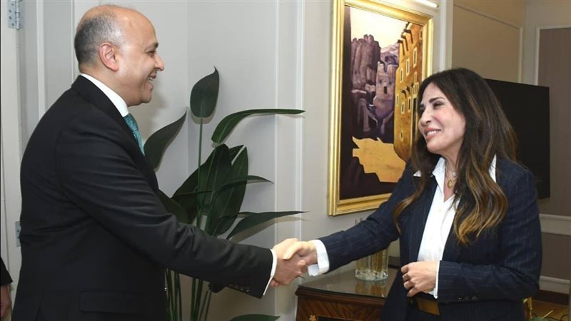 المهندسة راندة المنشاوي