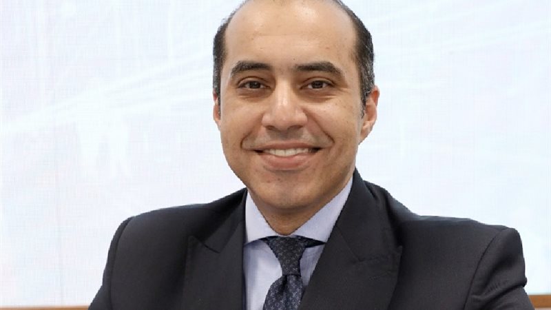 المستشار محمود فوزي