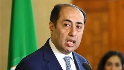أول تعليق من السفير حسام زكي بعد تعيين شقيقته وزيرة للثقافة: «لكل مجتهد نصيب»