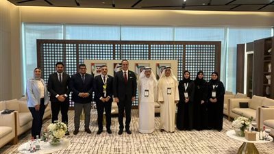 أحمد السبكي: تعاون مصري إماراتي مستقبلي في مشروعات ربط الملفات الطبية