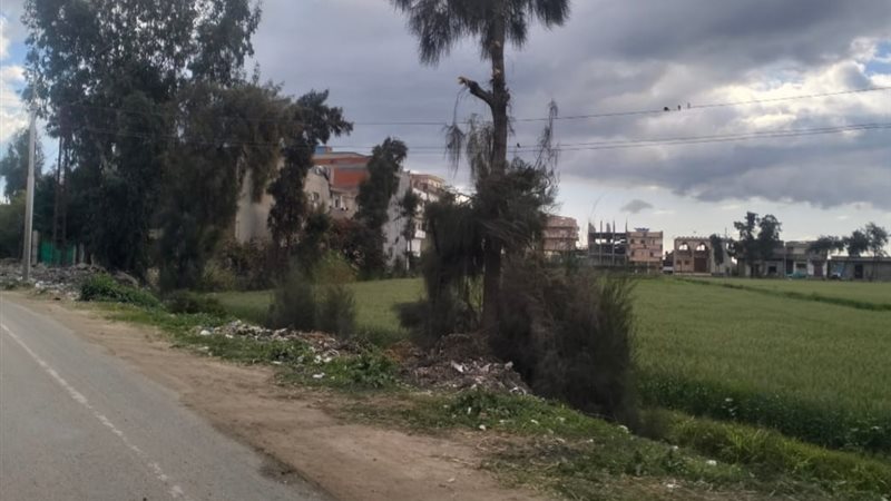أتربة ورياح شديدة