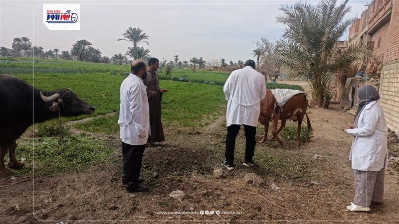 جانب من التحصين 