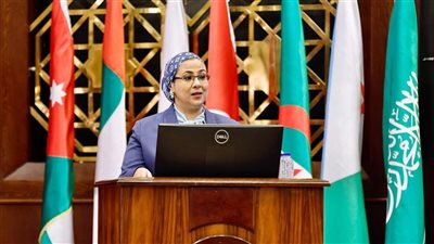المستشارة أمل عمار: ما وصلت إليه المرأة اليوم ثمار إرادة سياسية واعية 