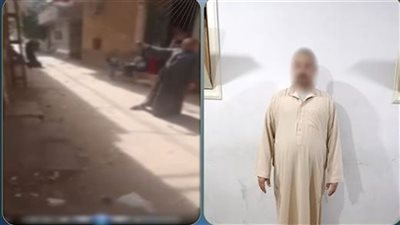التحقيق مع عاطل حاول شنق كلب ضال في طنطا.. والمتهم: خفت على الأهالي من العقر