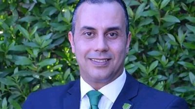 برلماني: الرئيس السيسي يقود توطين الطاقة المتجددة ويعزز فرص المشروعات الصغيرة