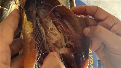 إحباط مخطط طرح طن وربع رنجة فاسدة في أسواق كفر الزيات