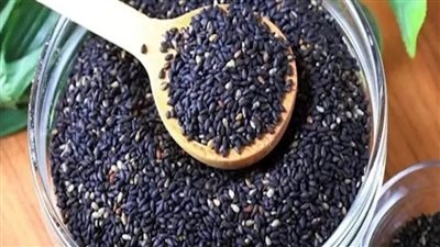 بذور السمسم الأسود لتعزيز نمو الشعر.. الطريقة الصحيحة للاستفادة من فوائده