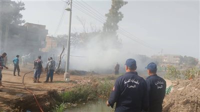 دون خسائر في الأرواح.. السيطرة على حريق نشب بعشة وأرض فضاء بكوم حمادة