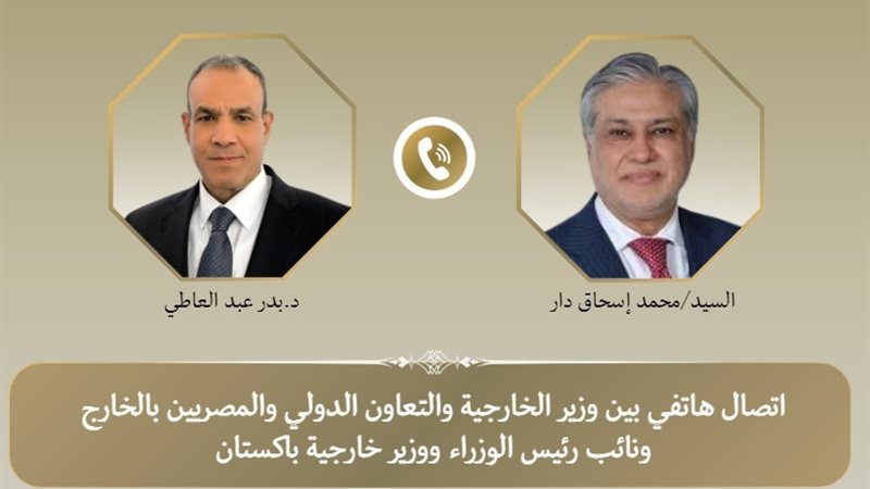 وزيرا الخارجية المصري