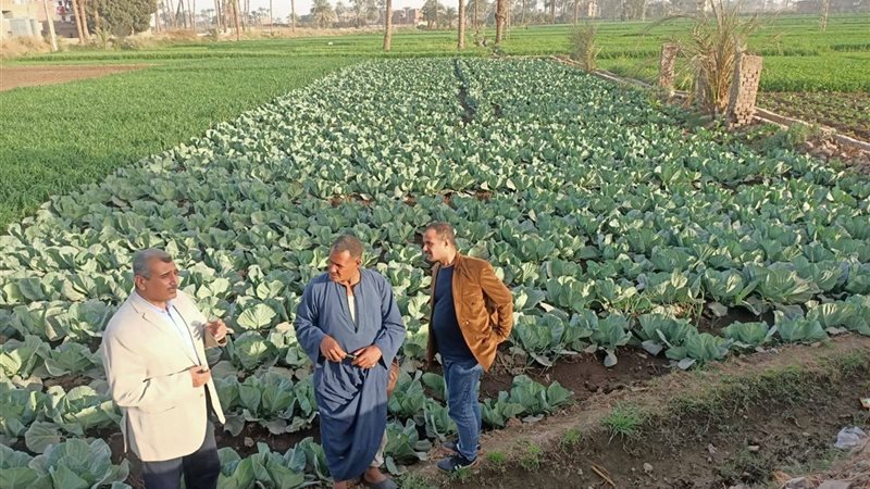 صورة واقعيه