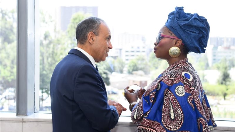 وزير الخارجية ومفوضة